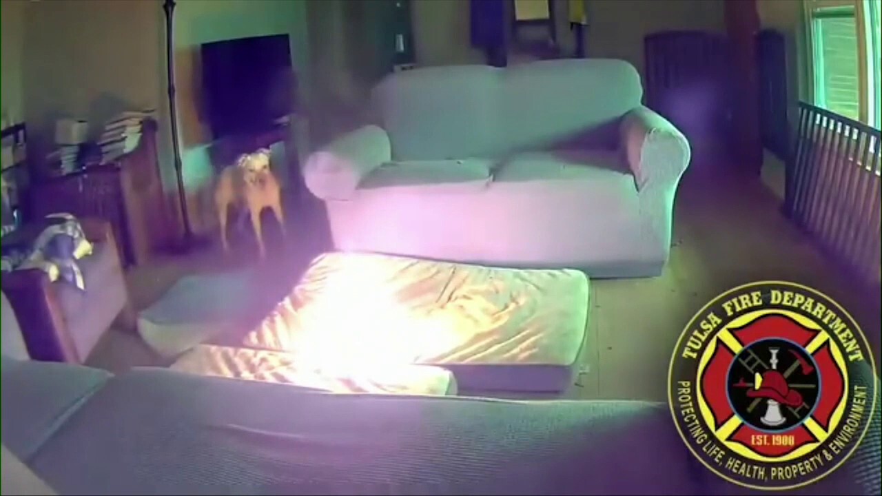 WATCH: Oklahoma dog accidentally starts house fire after chewing on battery