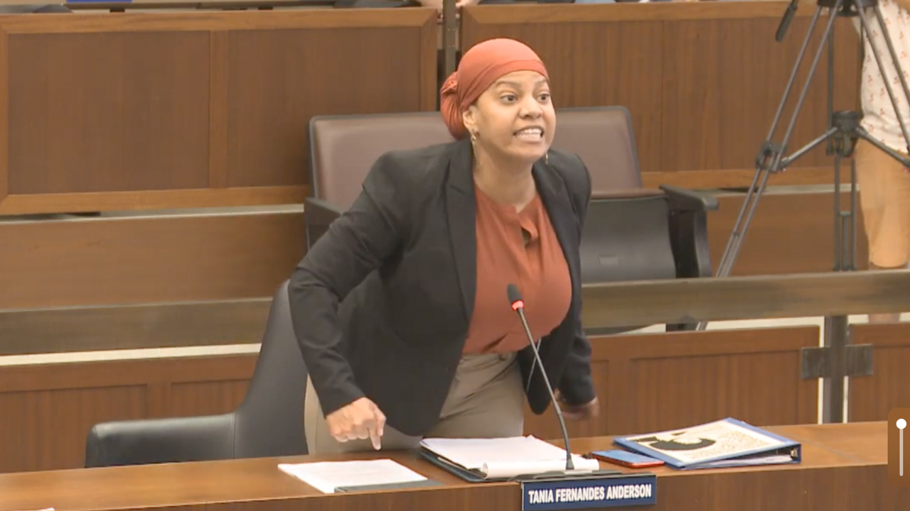 Boston Democrat city council member screams at 'f---ing council' in demand for respect 