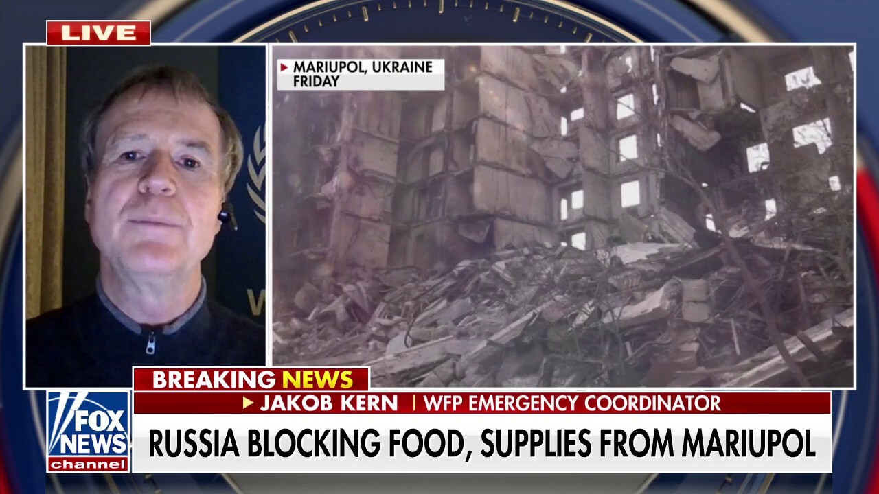 World Food Programme warns Ukraine war could lead to mass hunger