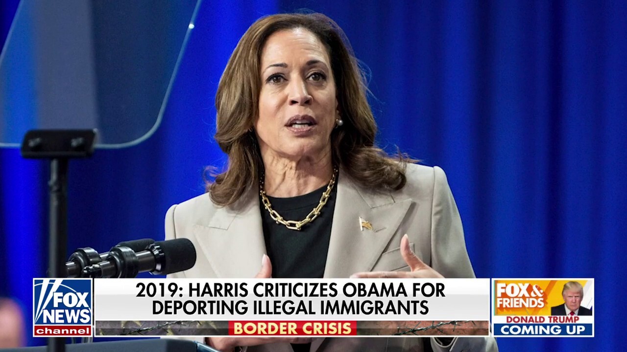 Mike Huckabee calls out Kamala Harris on border crisis: 'This is a sham'