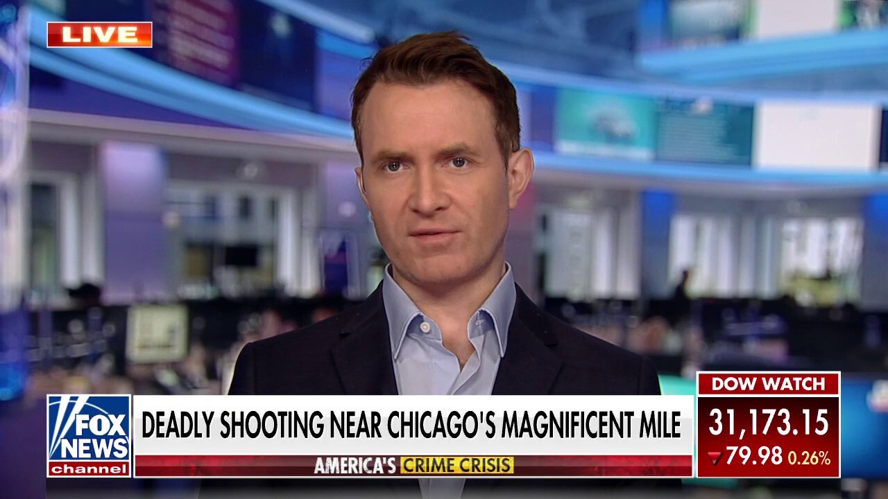 Gun violence crisis in Chicago is 'on her:' Douglas Murray denounces Mayor Lori Lightfoot after public statement