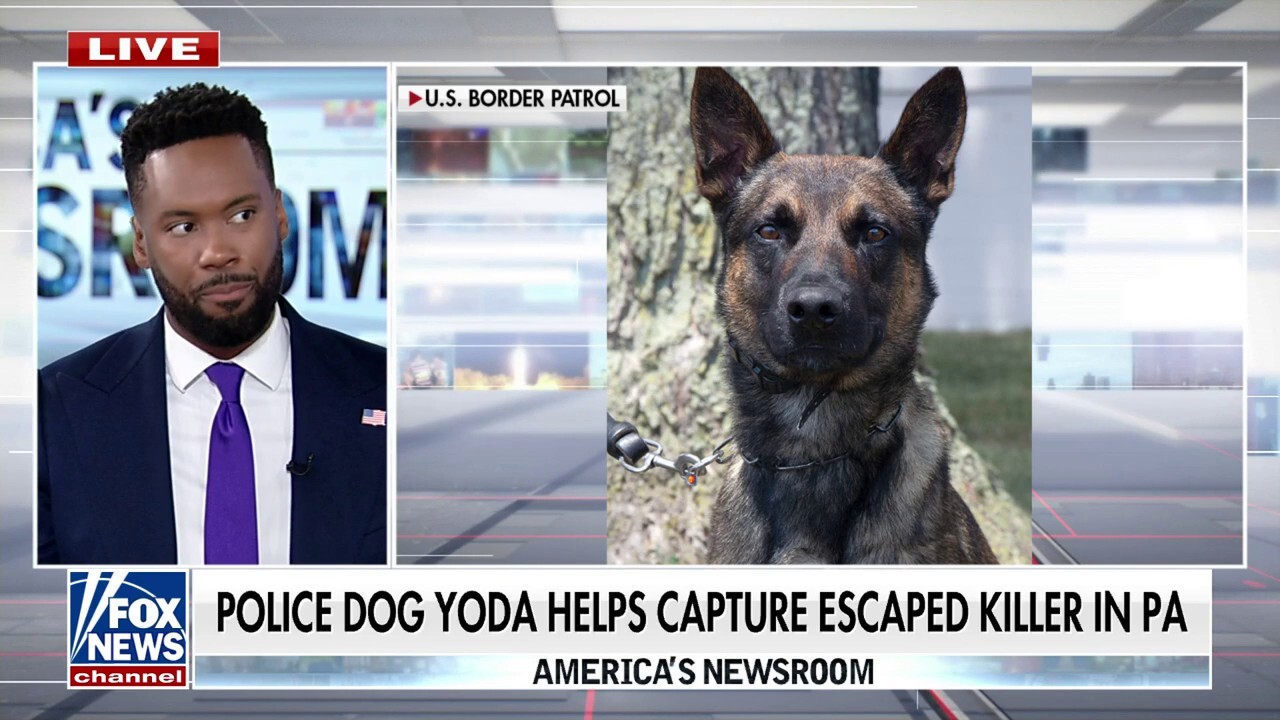 How a police dog helped capture an escaped killer