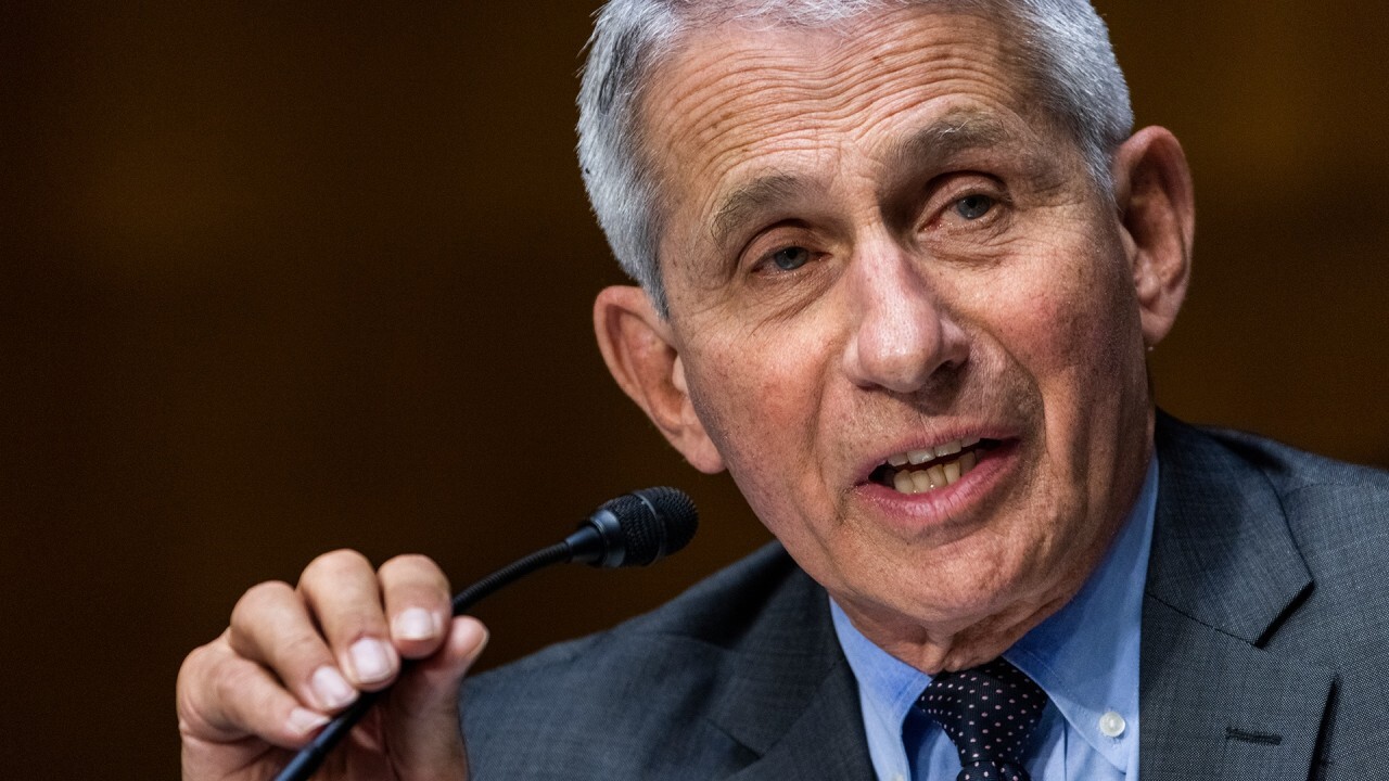 Fauci is a Democratic activist, not a neutral public health expert: Tom Cotton