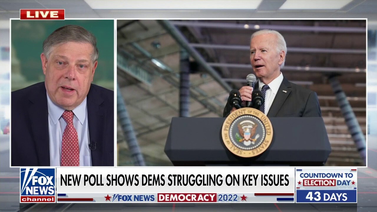 Mark Penn: If Democrats lose the midterms, the chances Biden runs for re-election are 'nil'