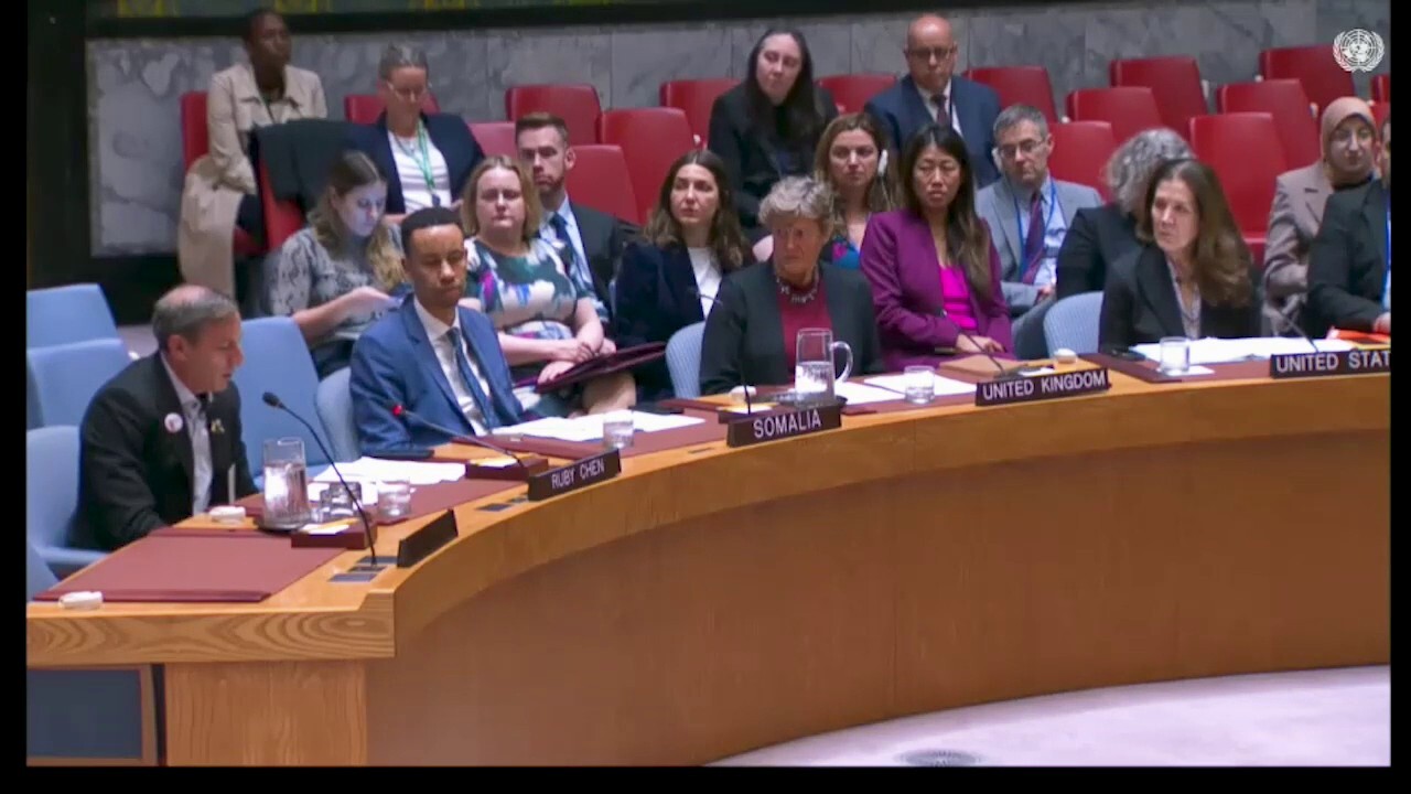 Father of hostage in Gaza calls on UN Security Council to enforce resolution