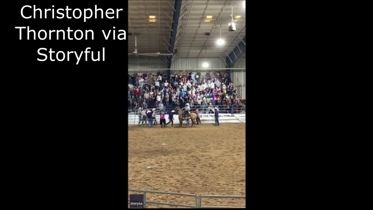 Rodeo bull breaks out of holding pin at Florida State Fairgrounds