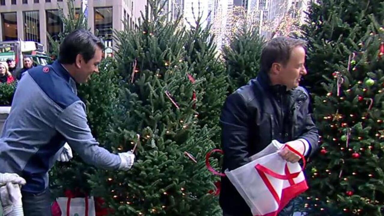 'Fox & Friends' Christmas tree relay race 