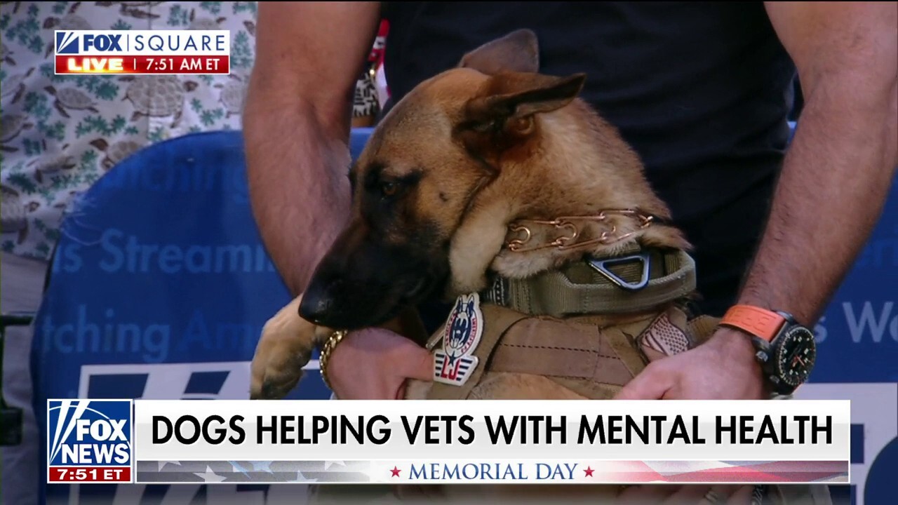 Country singer Ryan Spencer and Special Operations Warrior Foundation board member Joe Settelen discuss how K-9 service animals are helping veterans’ mental health.