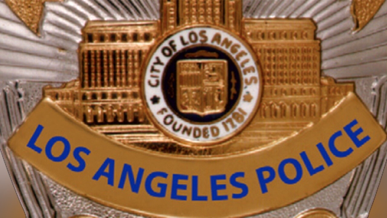Los Angeles is latest city to consider plan to replace uniform police officers with 'response team' 