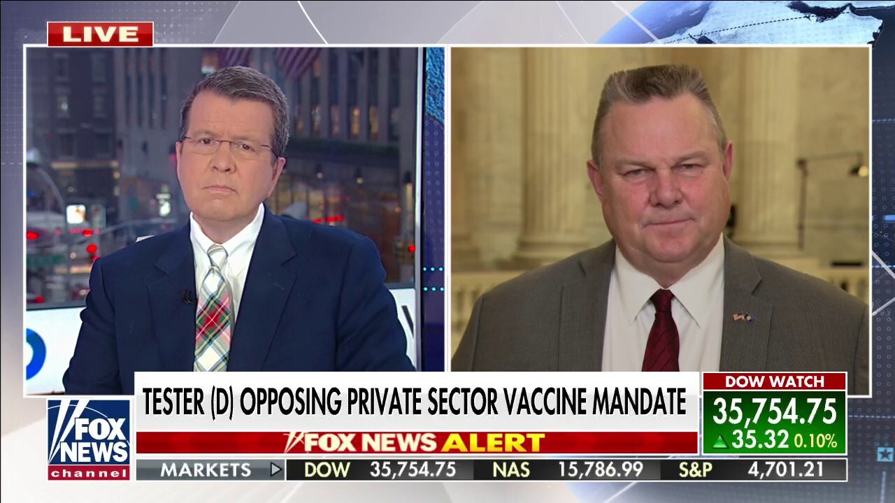 Private sector vaccine mandate 'problematic' for businesses: Montana ...