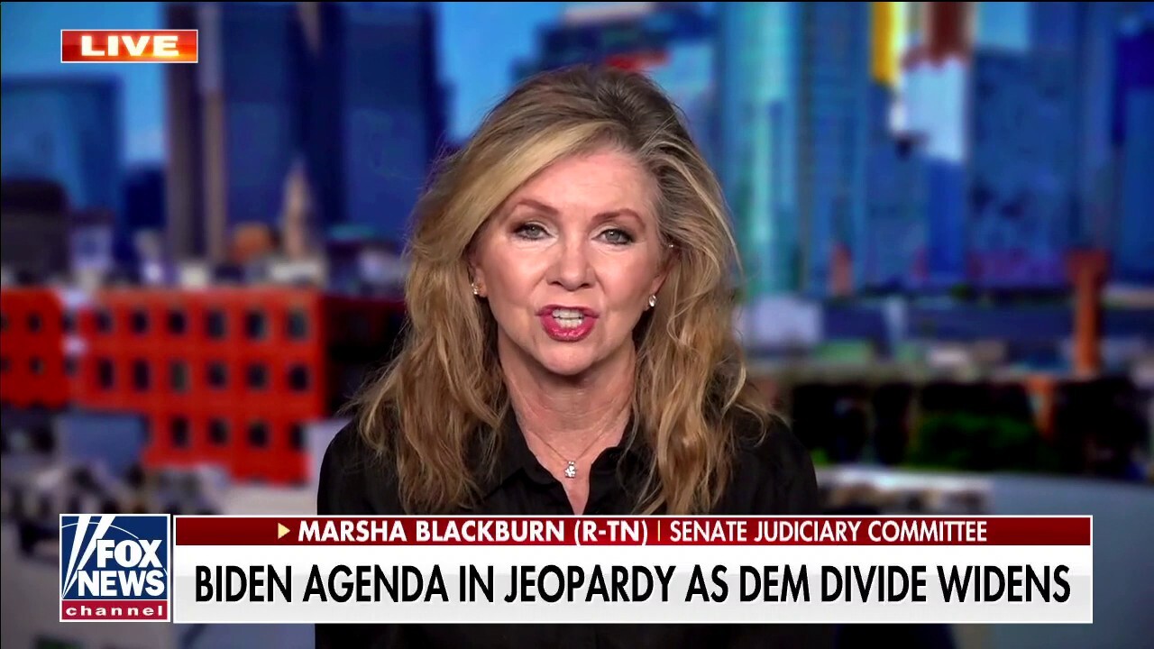 Marsha Blackburn: Americans are saying 'stop it,' don't want Dems' 'socialist agenda'