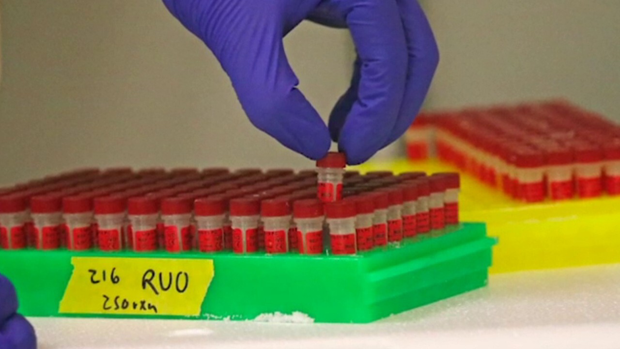 Experts warn coronavirus testing is key to reopening government