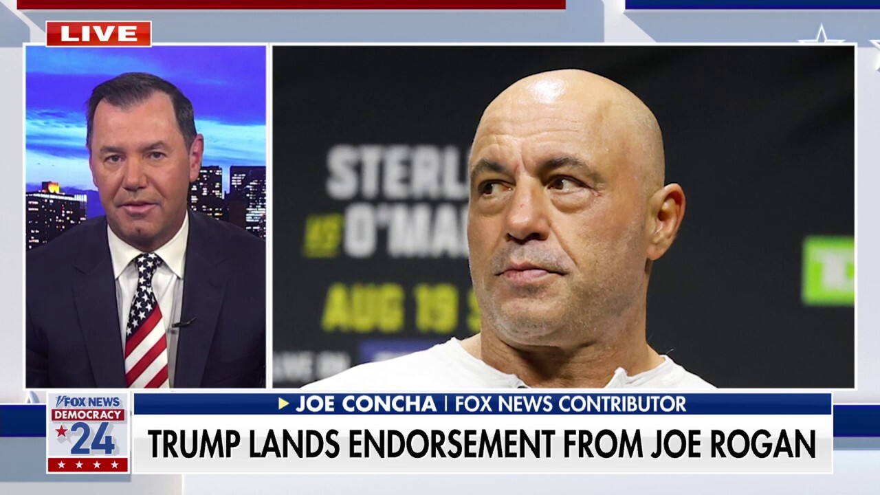 Joe Rogan endorses Trump, touts Elon Musk's 'compelling case' in favor of former president