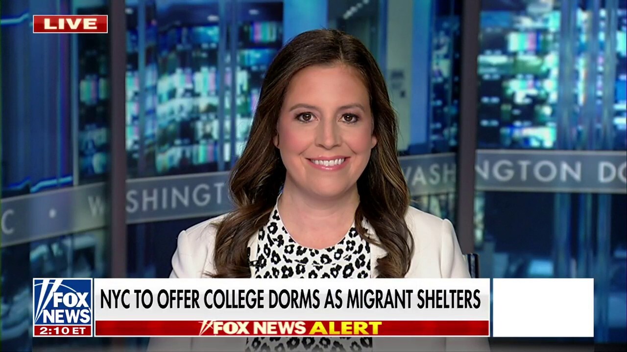 We need to secure our borders: Elise Stefanik