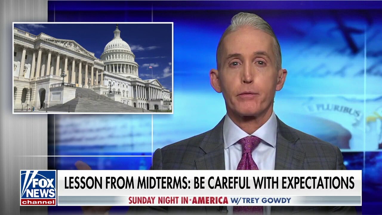 Gowdy: There is no perfect candidate for GOP Speaker of the House 