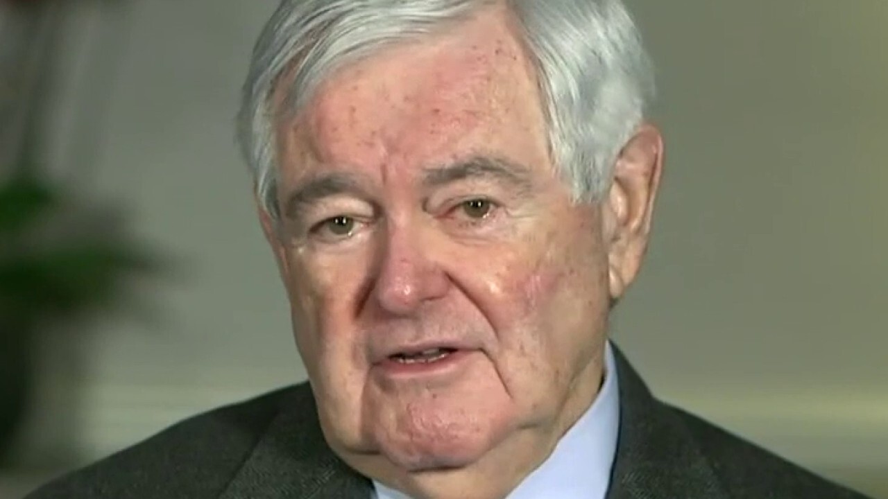 Newt Gingrich says ‘Harris-Biden’ immigration policy will ‘shake the fabric’ of American society