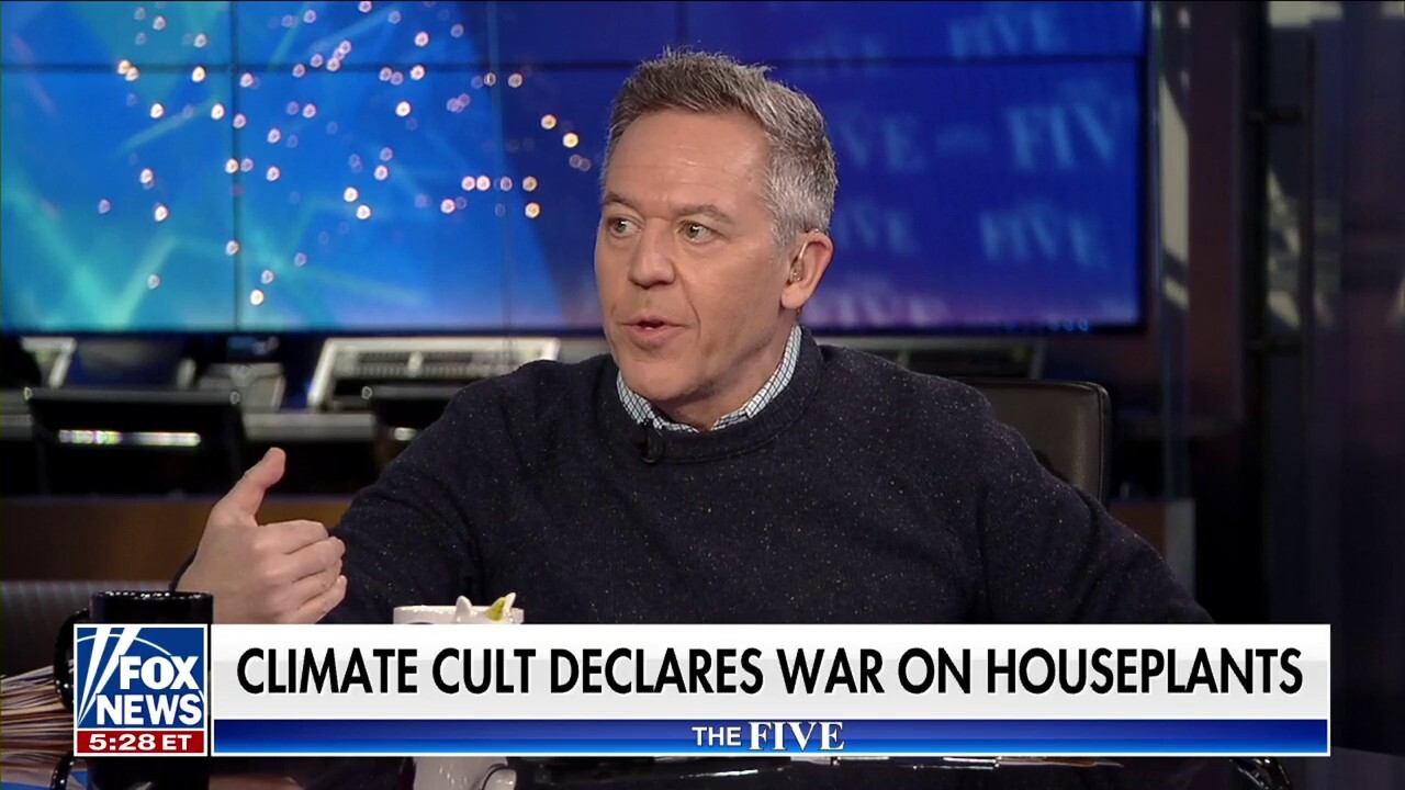 Gutfeld: When they're going after house plants, it's over