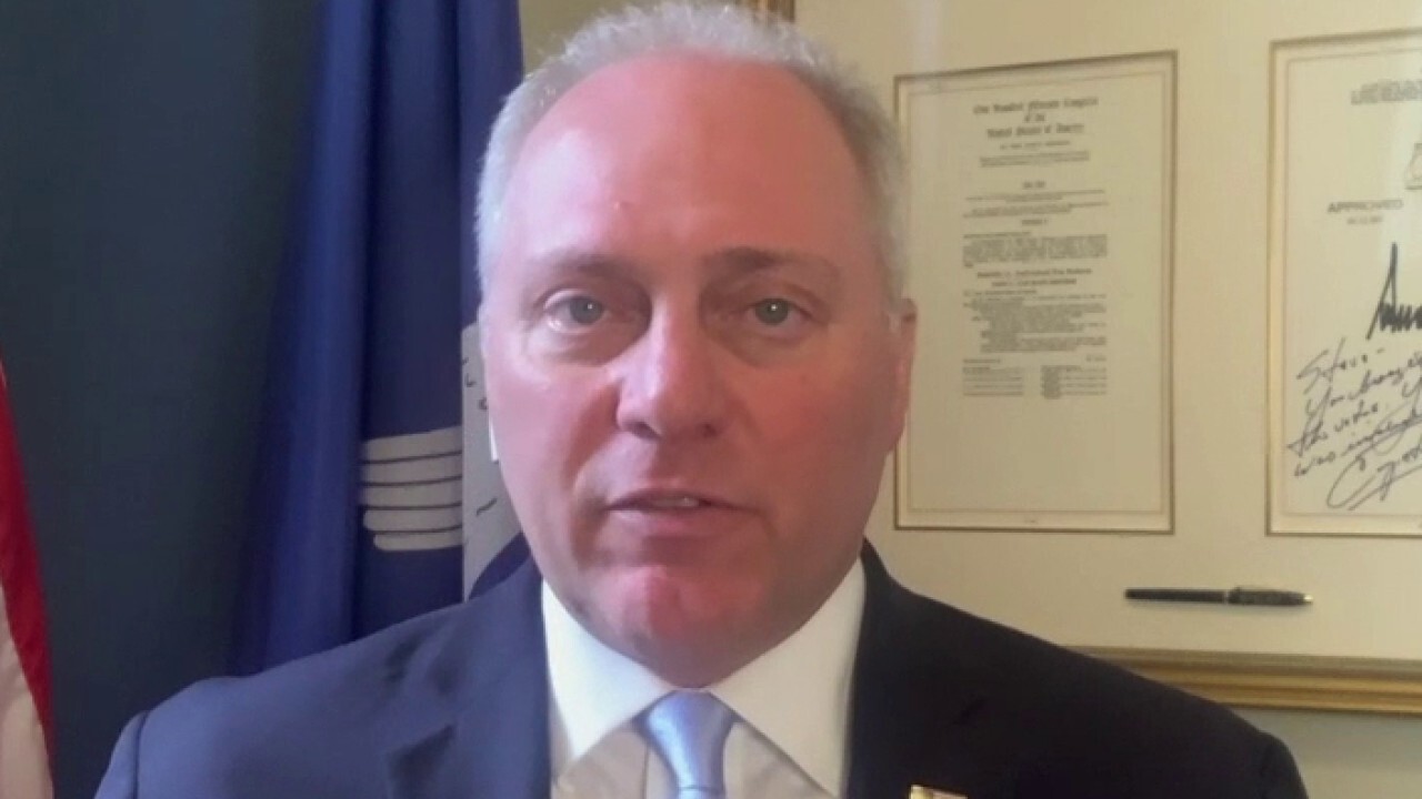 Rep. Steve Scalise on ‘abused’ FISA court: ‘Dirty cops who broke the law’