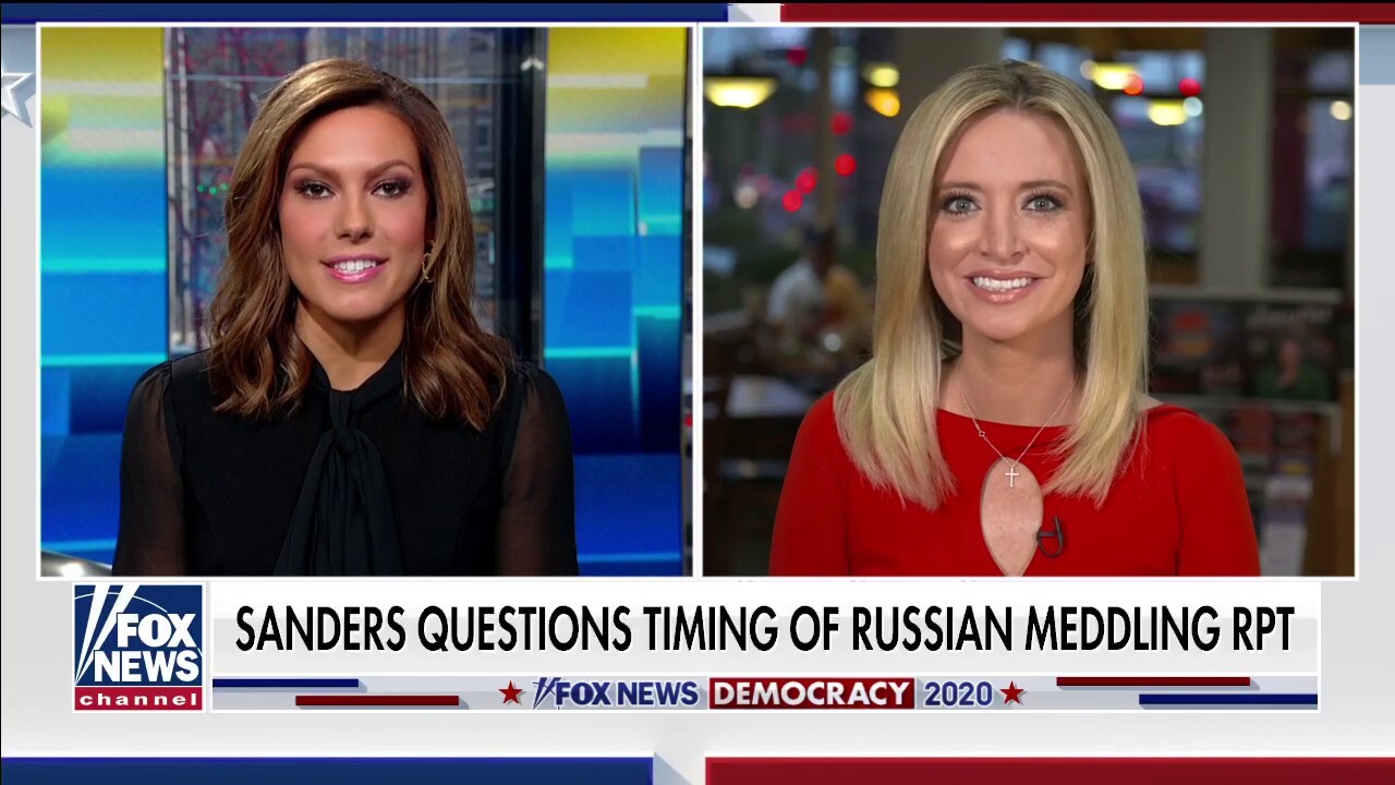 Kayleigh McEnany: Dems' goal since 'day one' de-legitimizing Trump