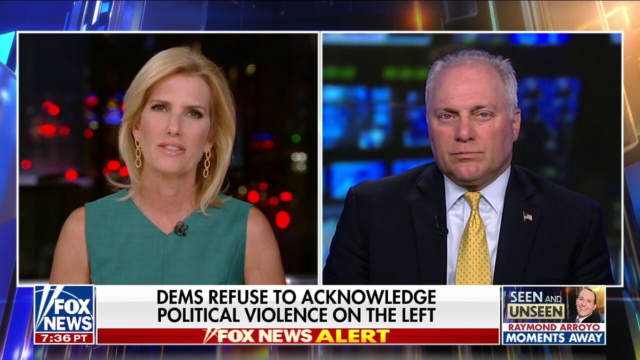 Americans figured out cause of their pain: Scalise