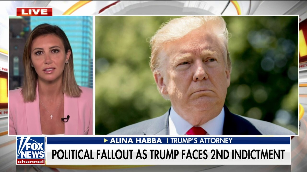 Trump attorney Alina Habba: ‘He is not a criminal’