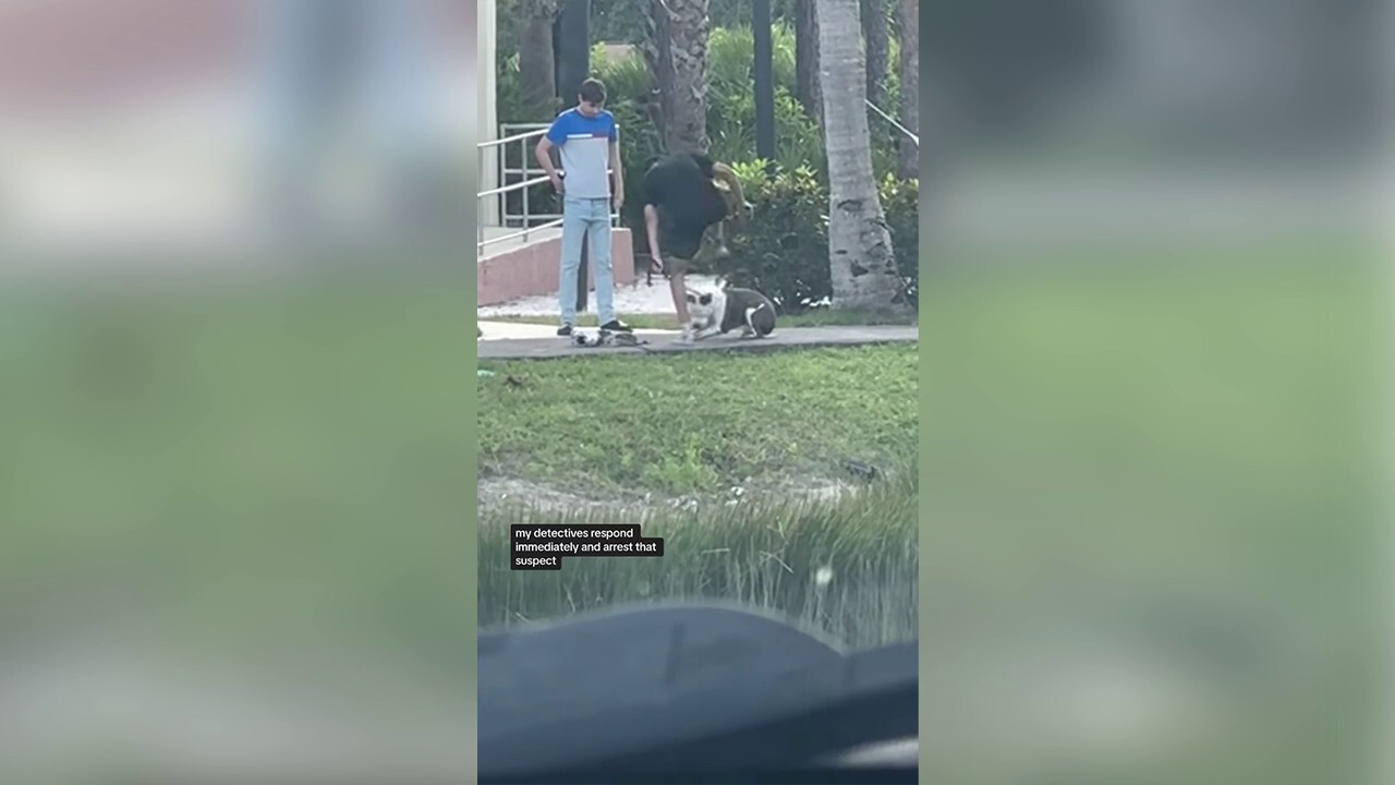 Мъж от Флорида, уловен от камерата да си събува обувките, тъпчейки кученцето си питбул