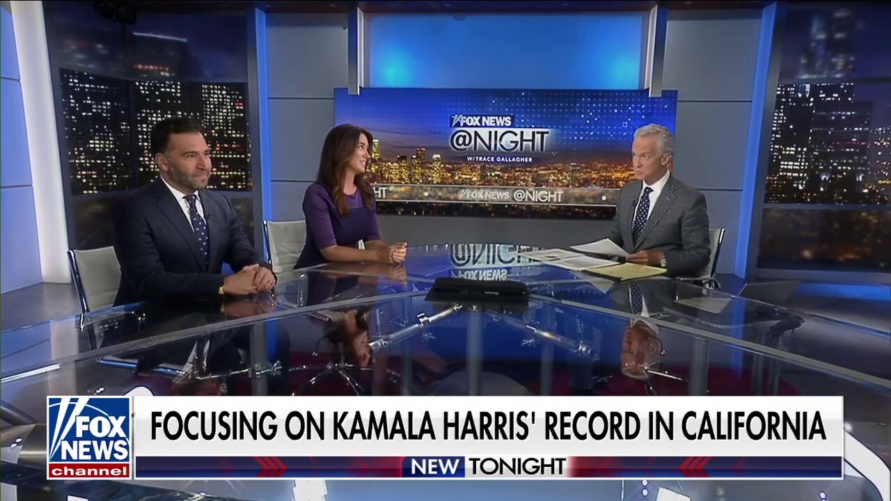 Kamala Harris is for defunding the police, abolishing ICE: Julie Hamill