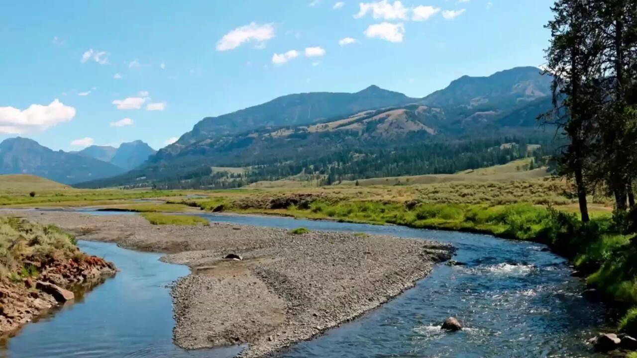 Yellowstone is America’s first national park – here is its majestic story
