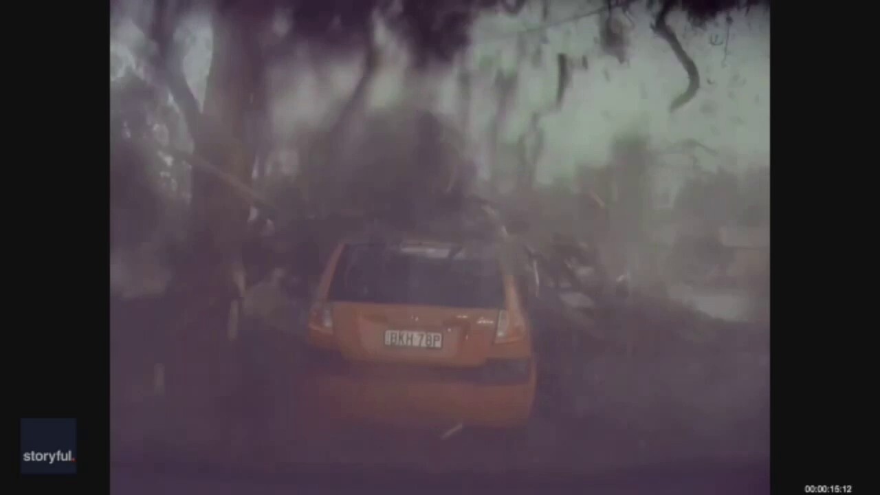 ГЛЕДАЙТЕ: Дърво, ударено от мълния, се разбива на парчета в колата на мъжа, на косъм липсва шофьор