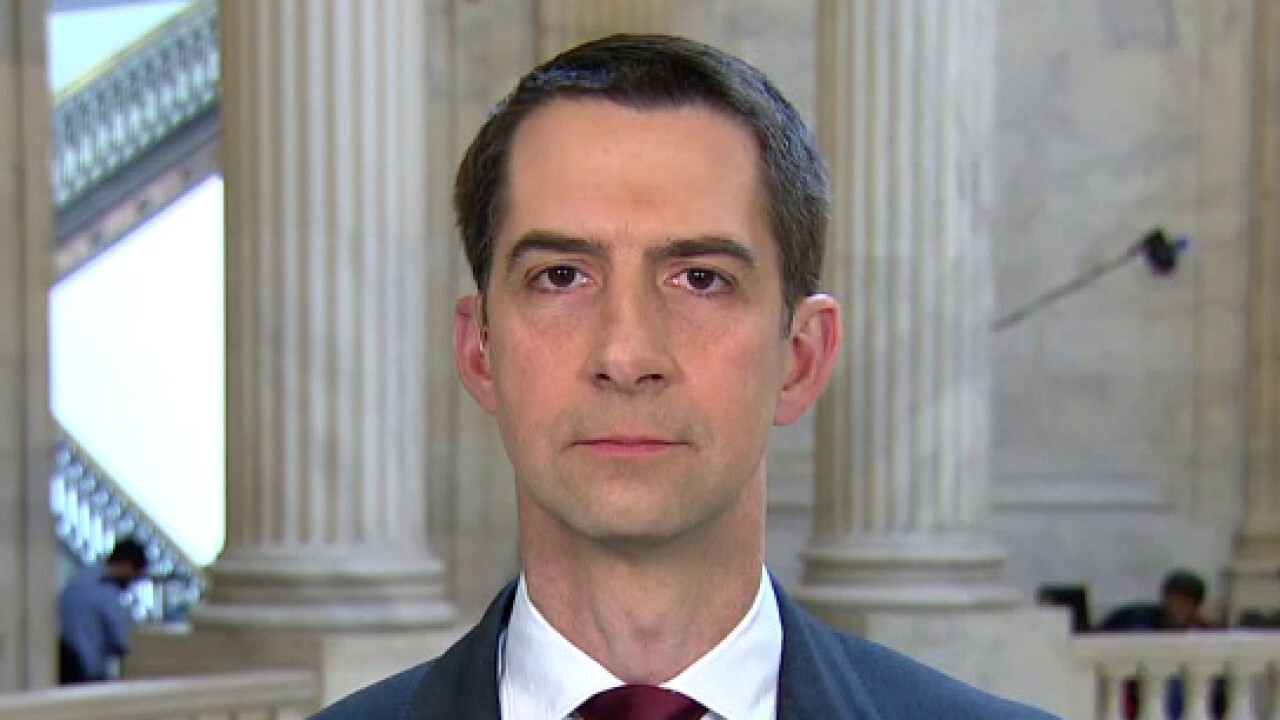 Sen. Cotton: We are seeing 'astonishing surges' at the US southern border