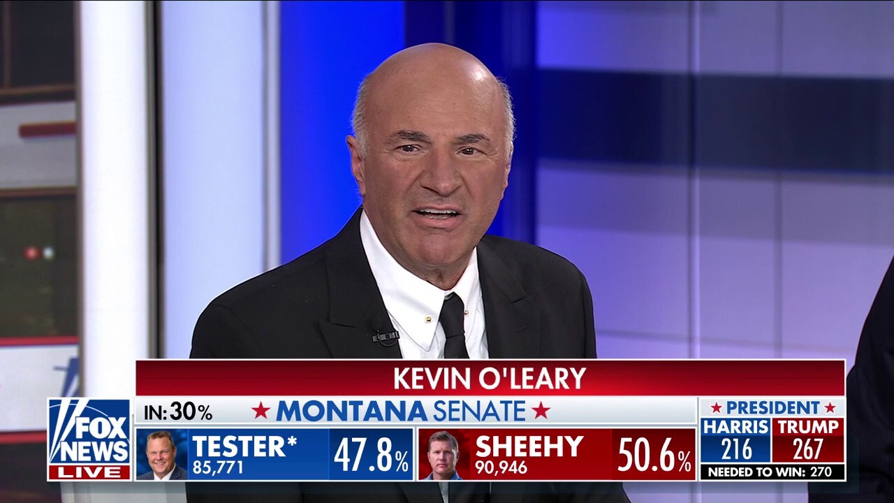 Kevin O’Leary: When you try to break the American model, it fixes itself