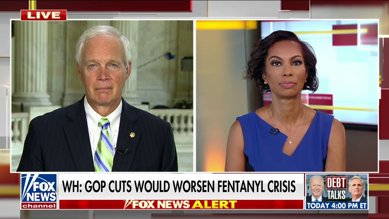 Ron Johnson calls out 'corrupt' media for ignoring Hunter Biden sex trafficking allegations