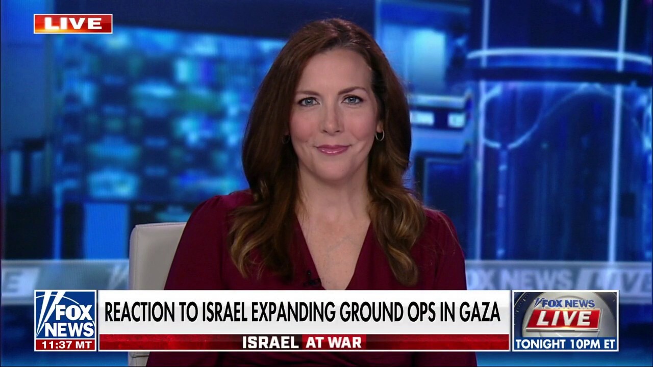 Stand-alone Israel aid gives Congress opportunity for 'strong message' they hadn't been able to send: Cassie Smedile
