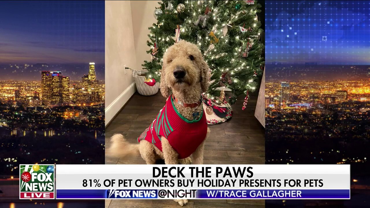 Christmas presents for pets?