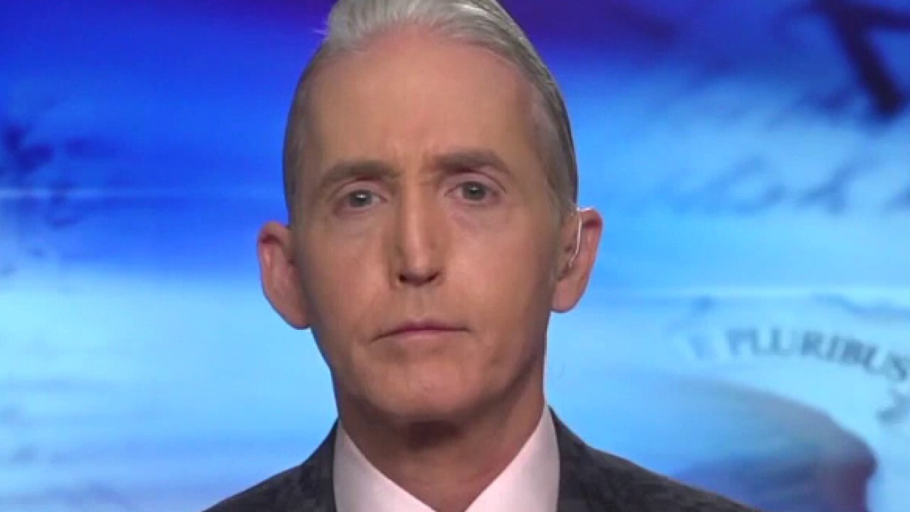 Gowdy: Republicans must put 'differences and ambitions aside,' let American people restore balance in midterms