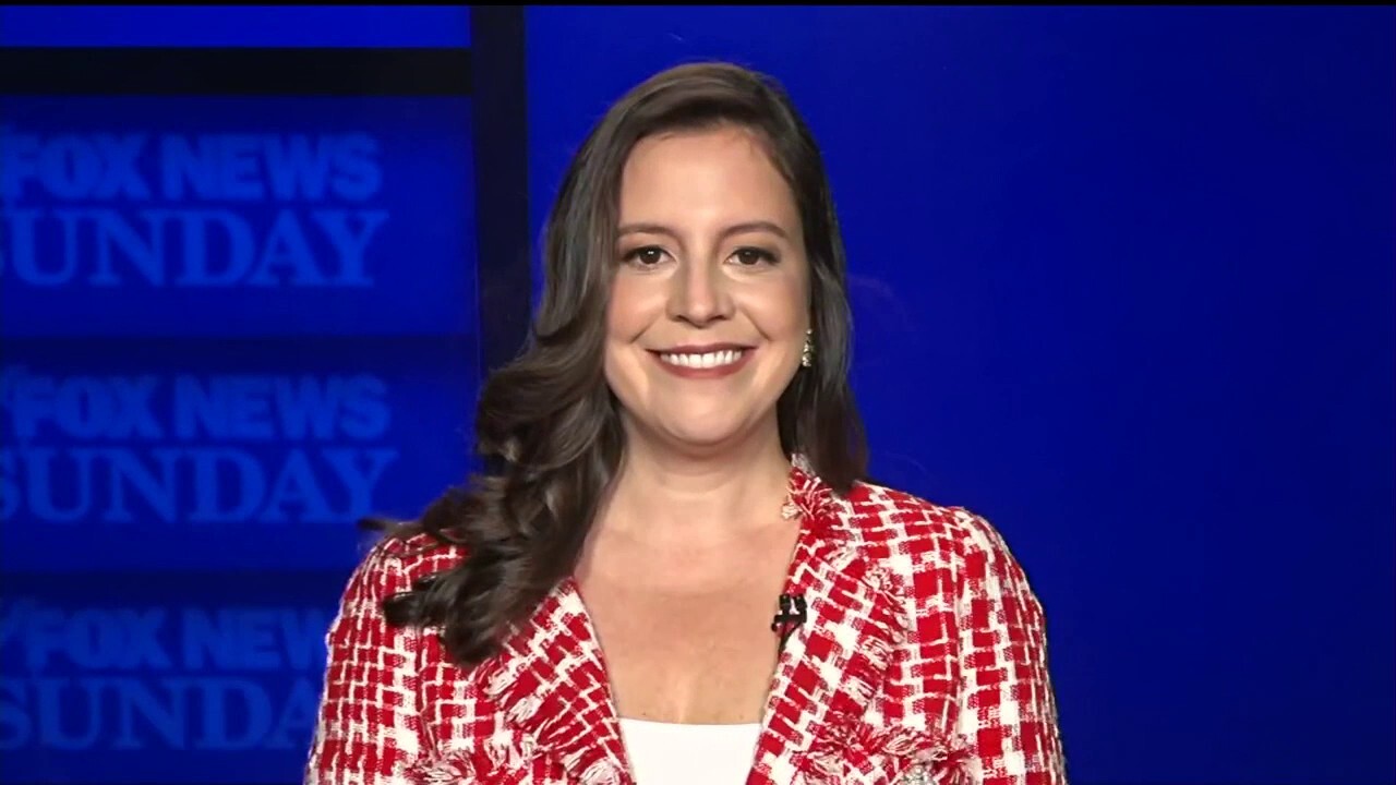 Rep. Elise Stefanik rips Democrats for state of America: 'They have created crises across this country'