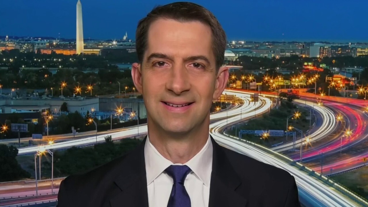 Sen. Cotton on Democrats' failure to get impeachment witnesses