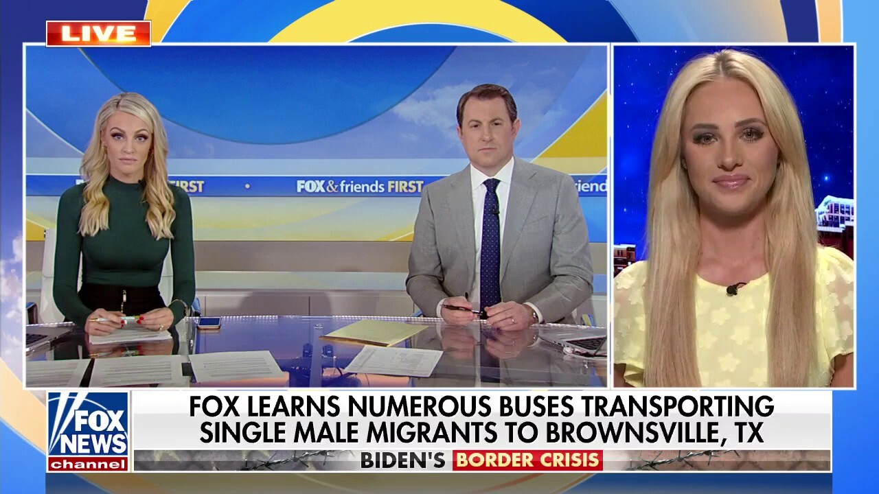 Tomi Lahren on Title 42 reversal: 'You're going to see catch and release on steroids'
