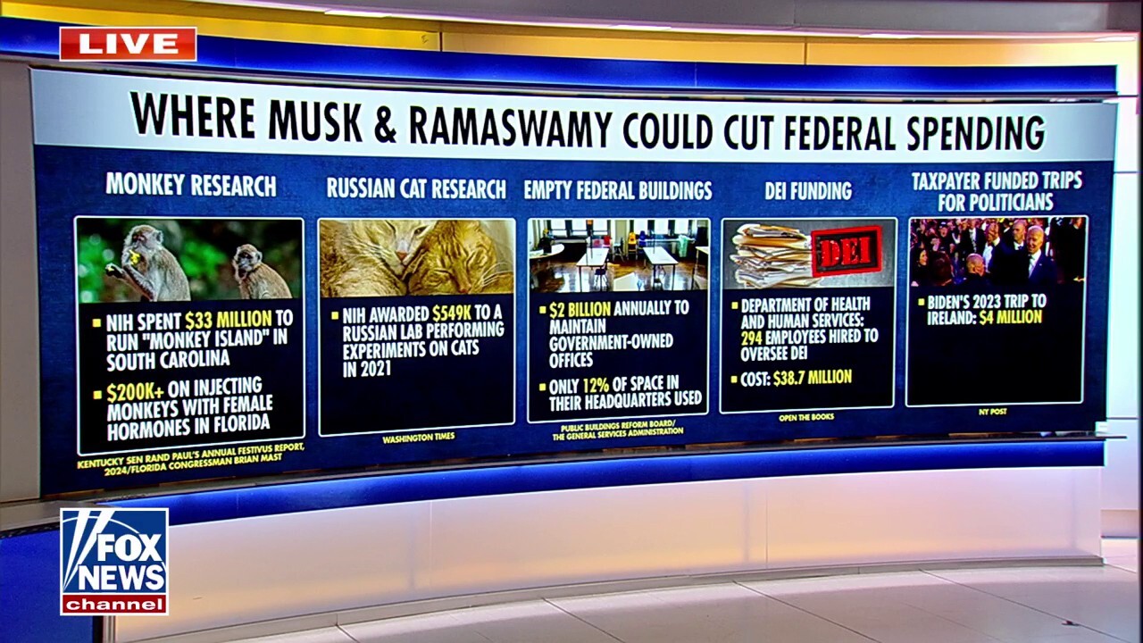 Analyzing where Elon Musk, Vivek Ramaswamy can cut federal spending