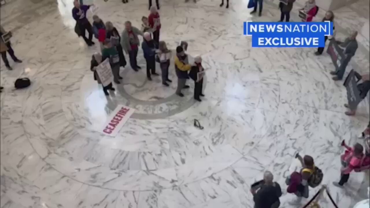 Pro-Palestinian protesters arrested in Russell Rotunda