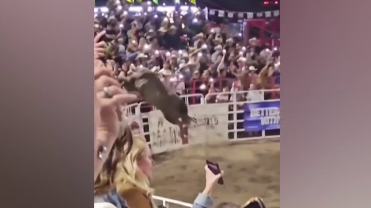 Шокиращо видео заснема момента, в който бик прескача оградата на родео, ранявайки 4 зрители
