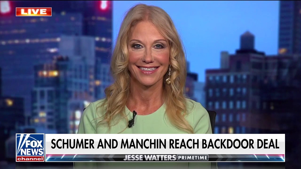Kellyanne Conway: This is crazy on so many different levels