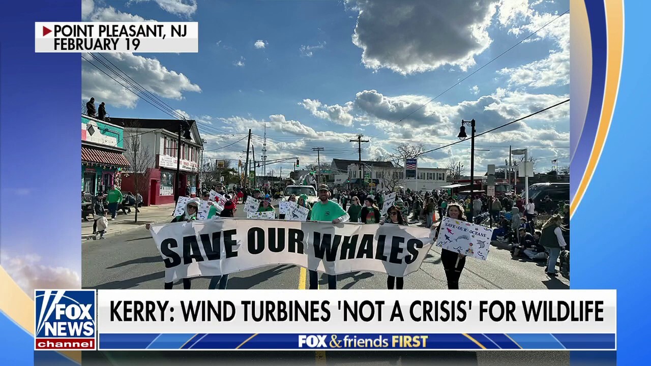 Small New Jersey town holds demonstration following string of whale deaths