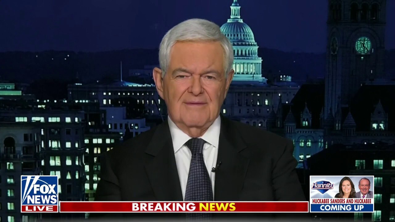 Newt Gingrich: Pelosi's committee removals have come back to bite her