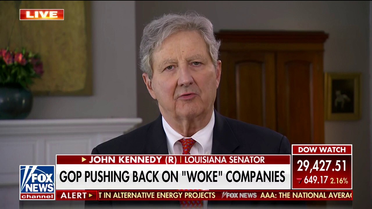 'Wokers are easy to recognize' for their hatred of America: Sen. John Kennedy