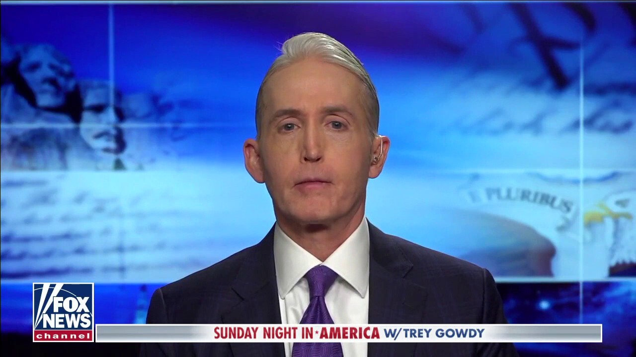 The country’s true consensus on Biden’s immigration policies will reverberate ‘loudly’ in the midterms: Gowdy
