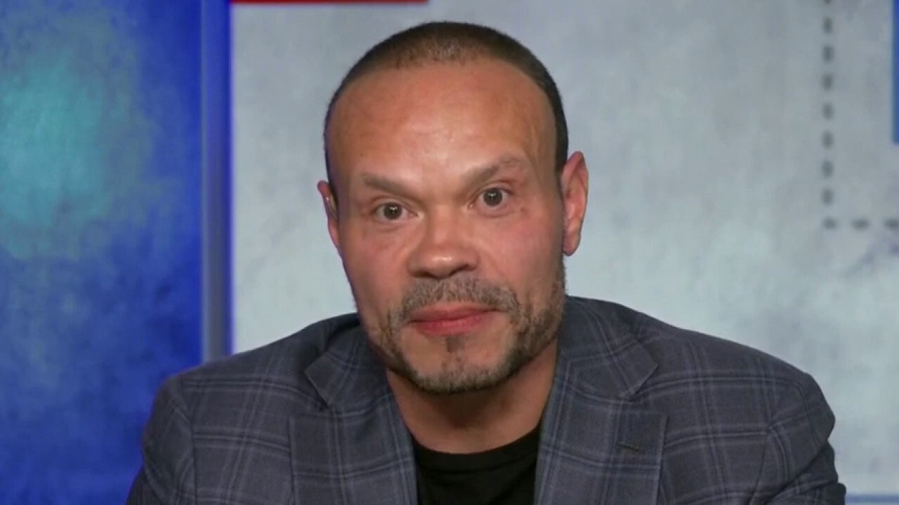 Dan Bongino on Roe v. Wade: US can’t function if public servants are ‘target of harassment’