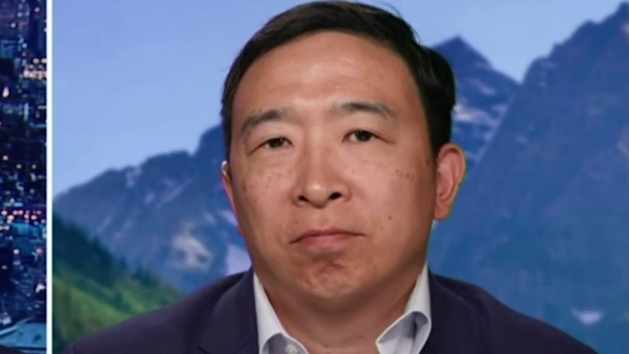 Andrew Yang: Joe Biden 'should step aside'