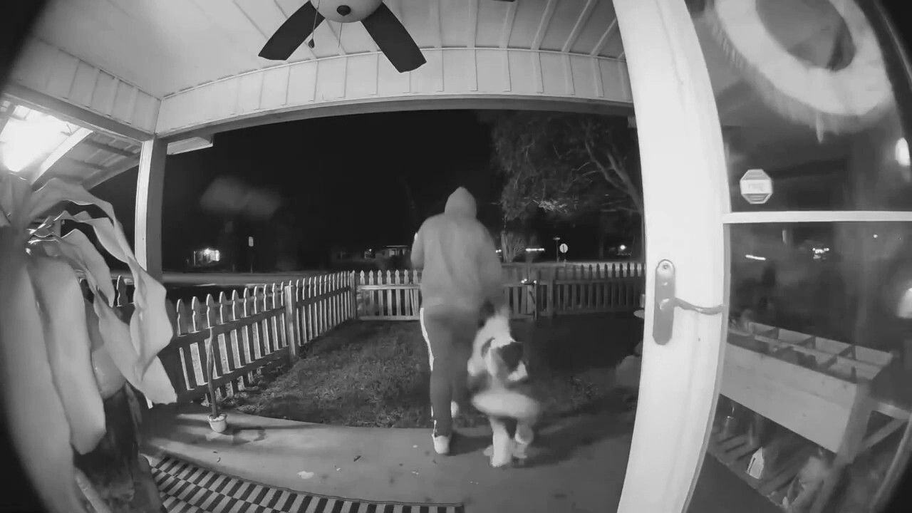 Полицията в Алабама разследва, след като видео на звънец на вратата заснема как глухо куче е откраднато от дома