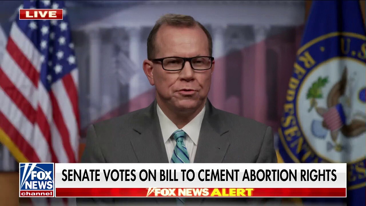 Abortion on-demand bill vote up to Senate: 'This is all about the midterm elections'